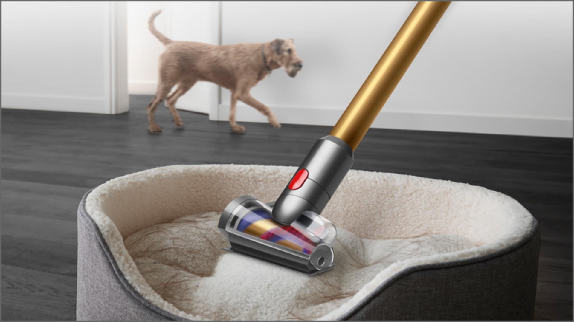 שדרוג לחווית ניקיון מתקדמת עם שואב האבק Dyson דגם V15 Detect Absolute. טכנולוגיה מתקדמת, סינון HEPA, עוצמת שאיבה חזקה ותכונות חדשניות לבית נקי ומטופח