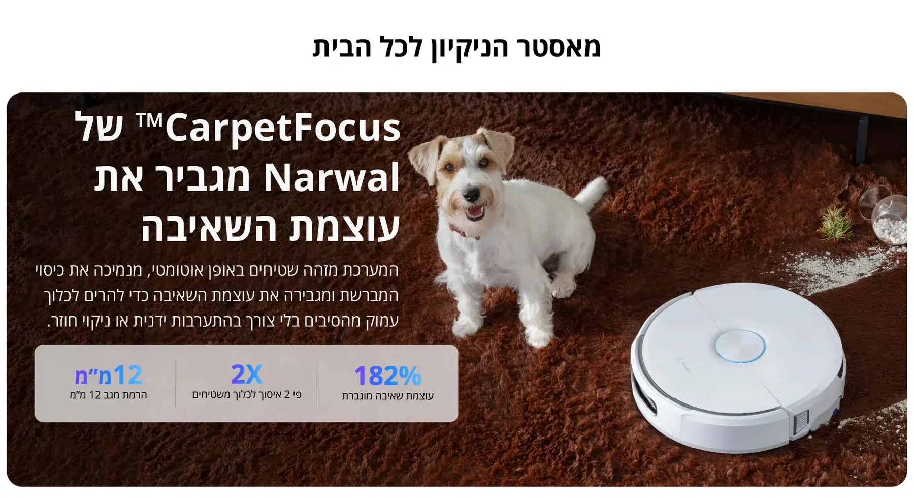 ניקוי שמותאם גם לשטיחים. — תמונת יצרן בעברית