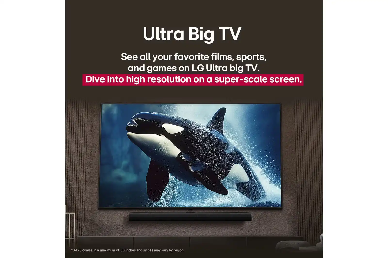 חיבורי USB ו-HDMI בטלוויזיה LG 43UA80006LC