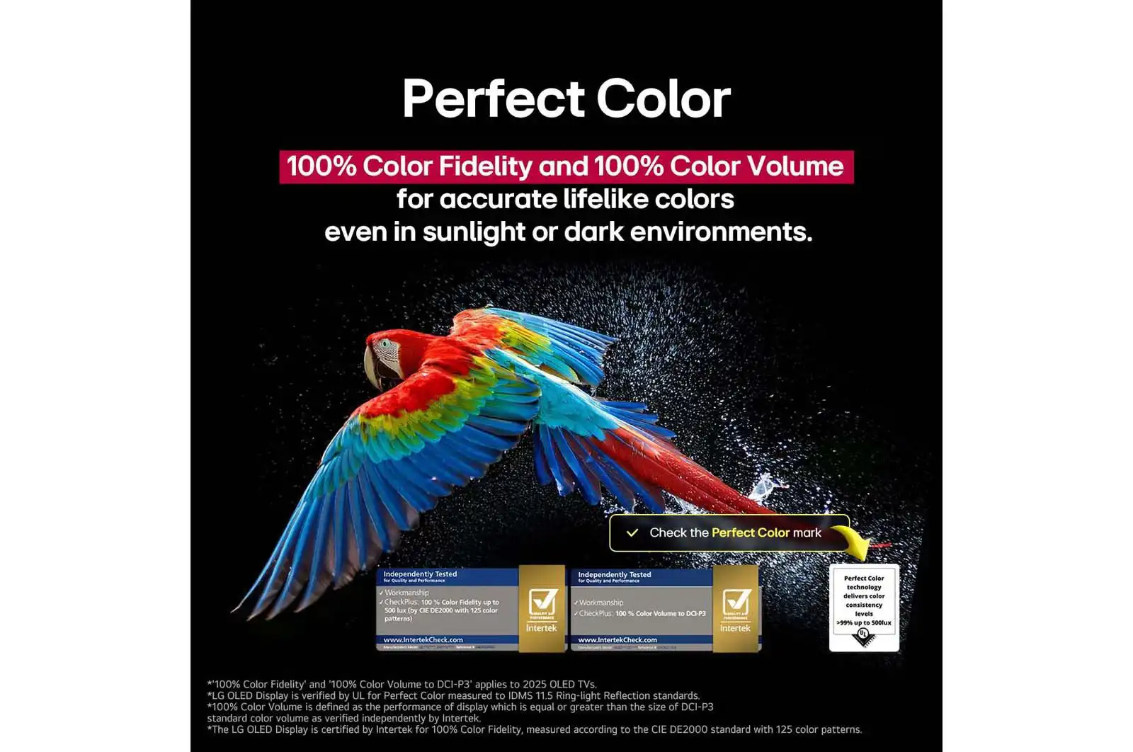 LG OLED C5 צבע מושלם OLED evo AI צבע מושלם בטלוויזיית LG OLED48C56LA C5 עם OLED evo AI ונאמנות צבע גבוהה