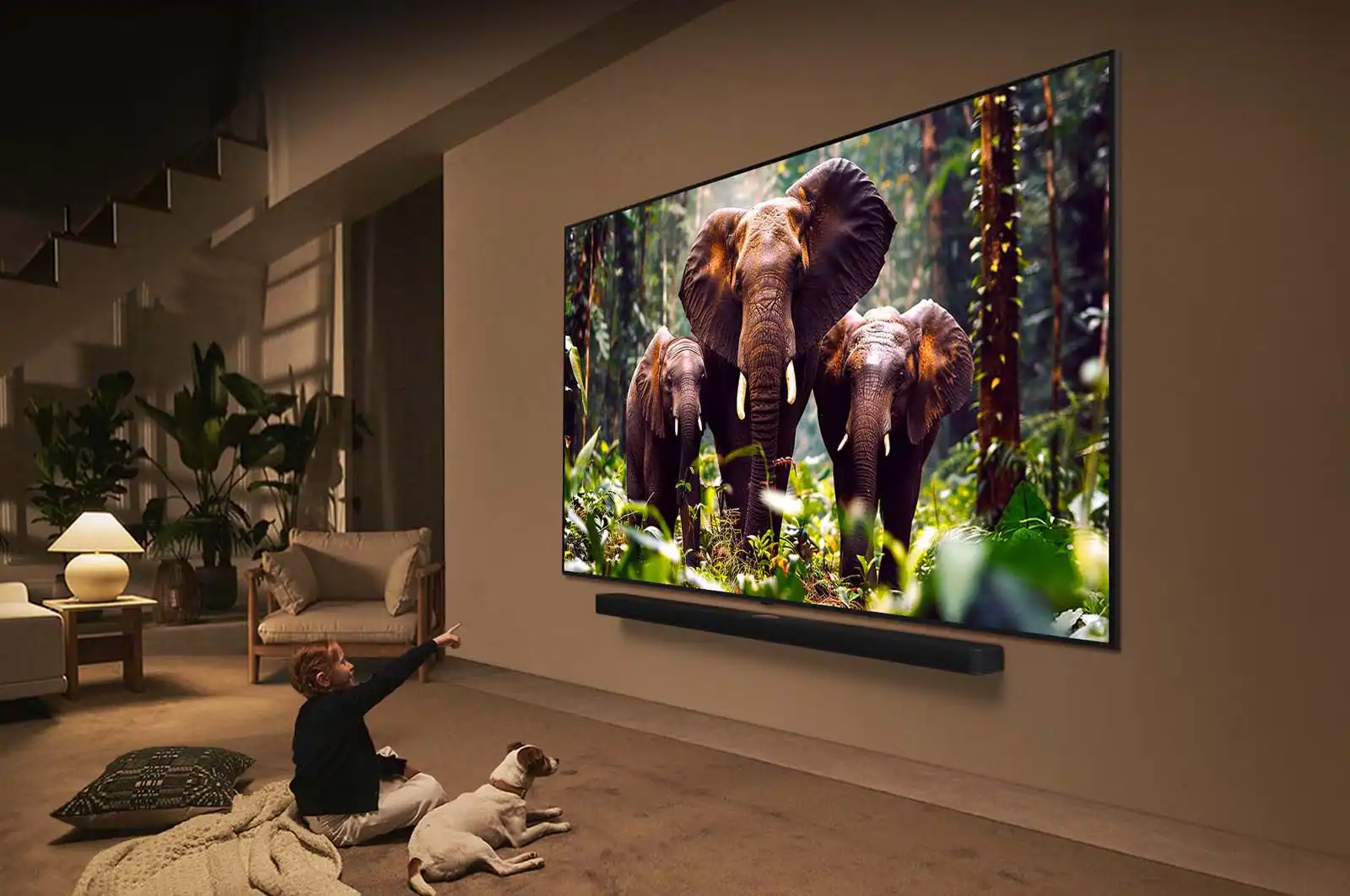 חיבורים אחוריים של LG QNED86A6A