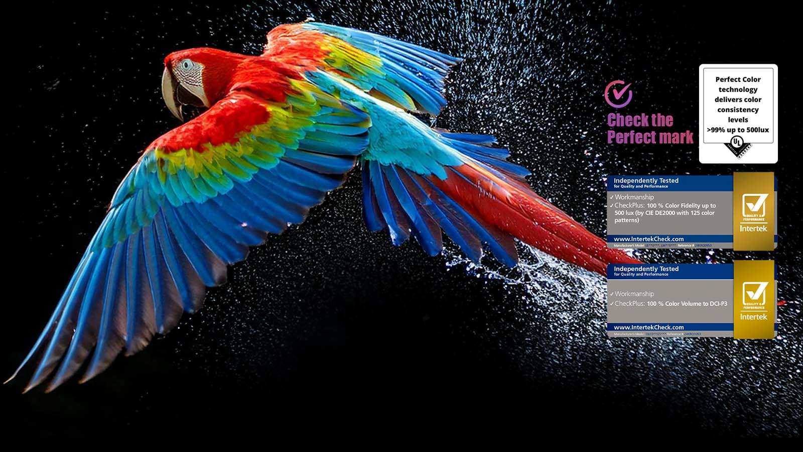 LG OLED55C56LA Perfect Color Perfect Color בטלוויזיית LG OLED55C56LA OLED evo C5